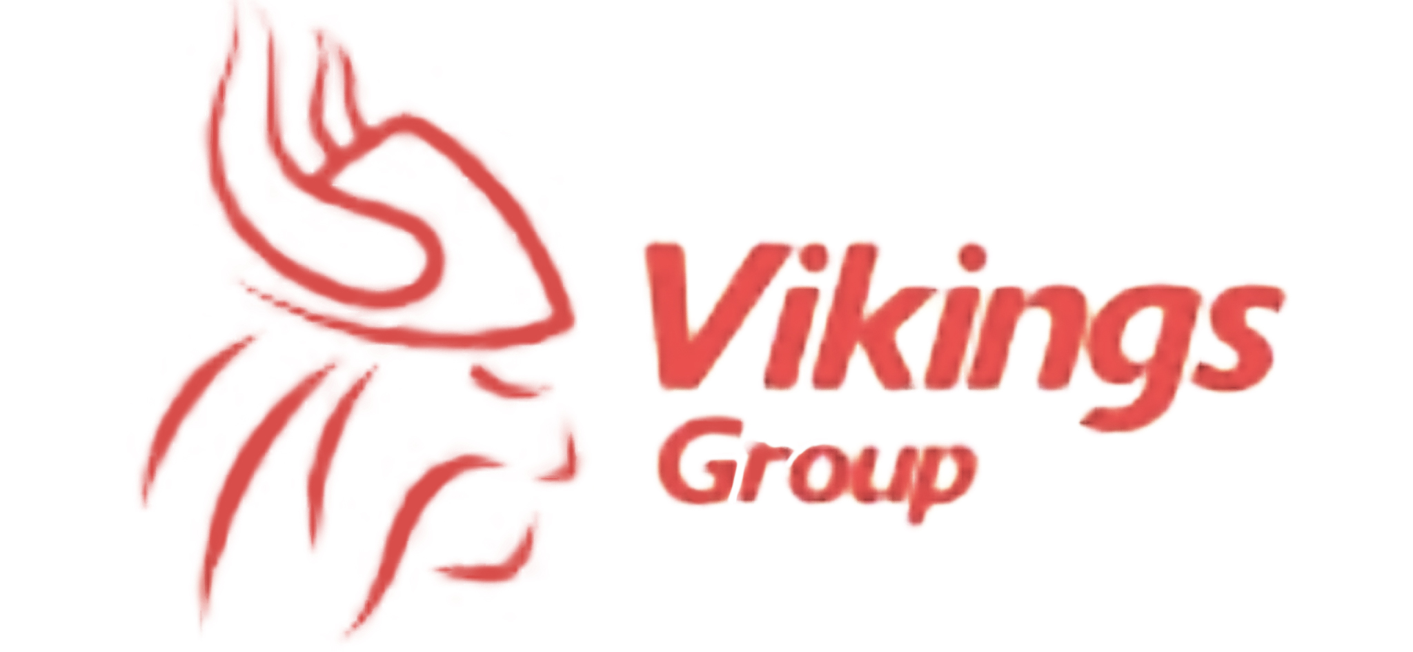 Key SponsorVikings Group